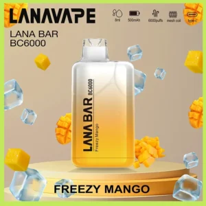 Lana拋棄式一次性電子煙|Lana Bar BC6000 Puffs|芒果