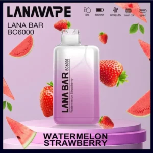 Lana拋棄式一次性電子煙|Lana Bar BC6000 Puffs|草莓西瓜